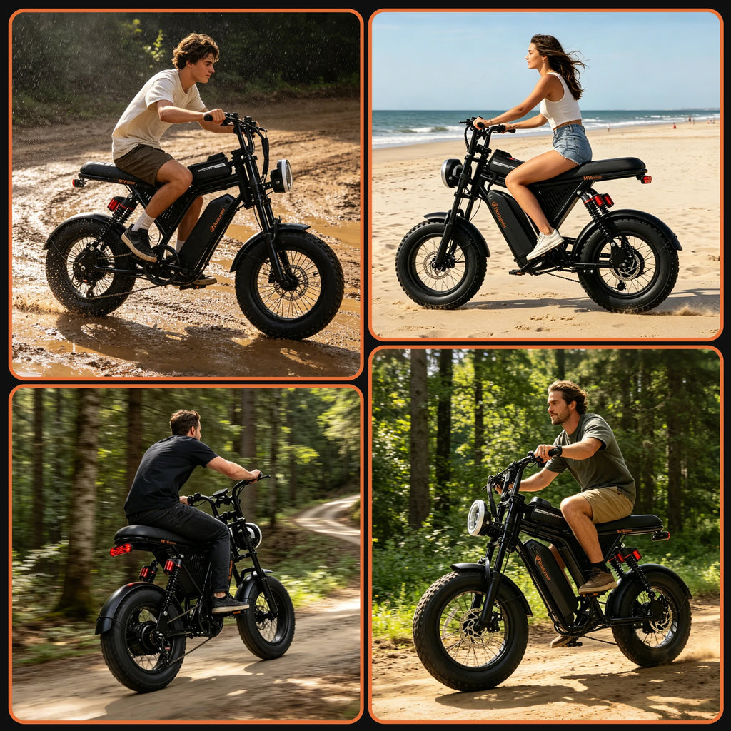 Fat Tire Electric Bike.