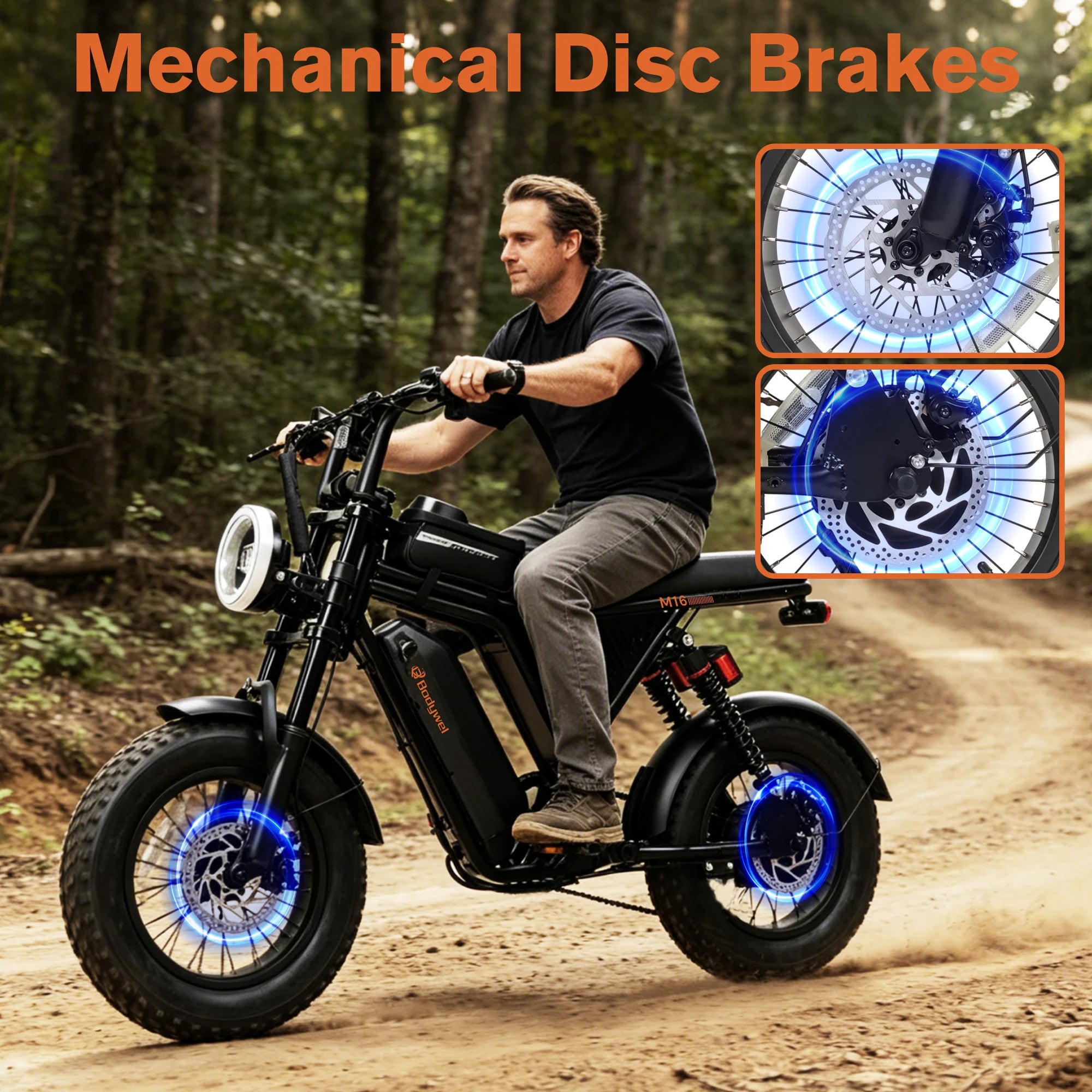 Fat Tire Electric Bike.