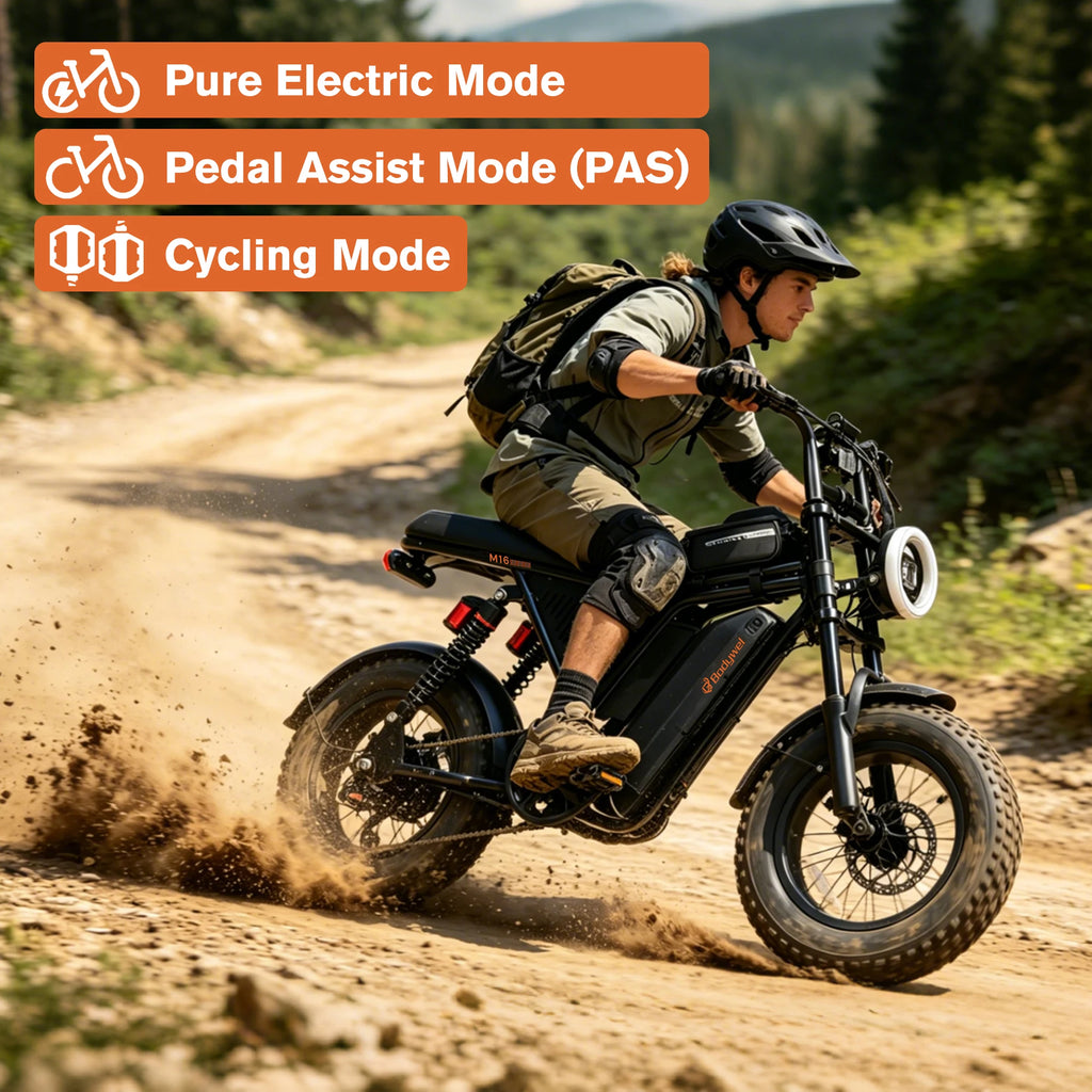 Fat Tire Electric Bike.