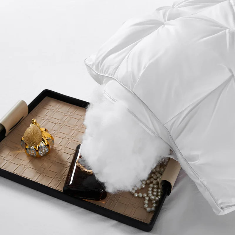2-Piece Sleep Pillow Set.