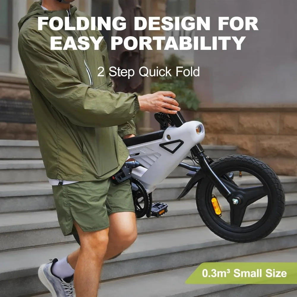 Folding Electric Bike