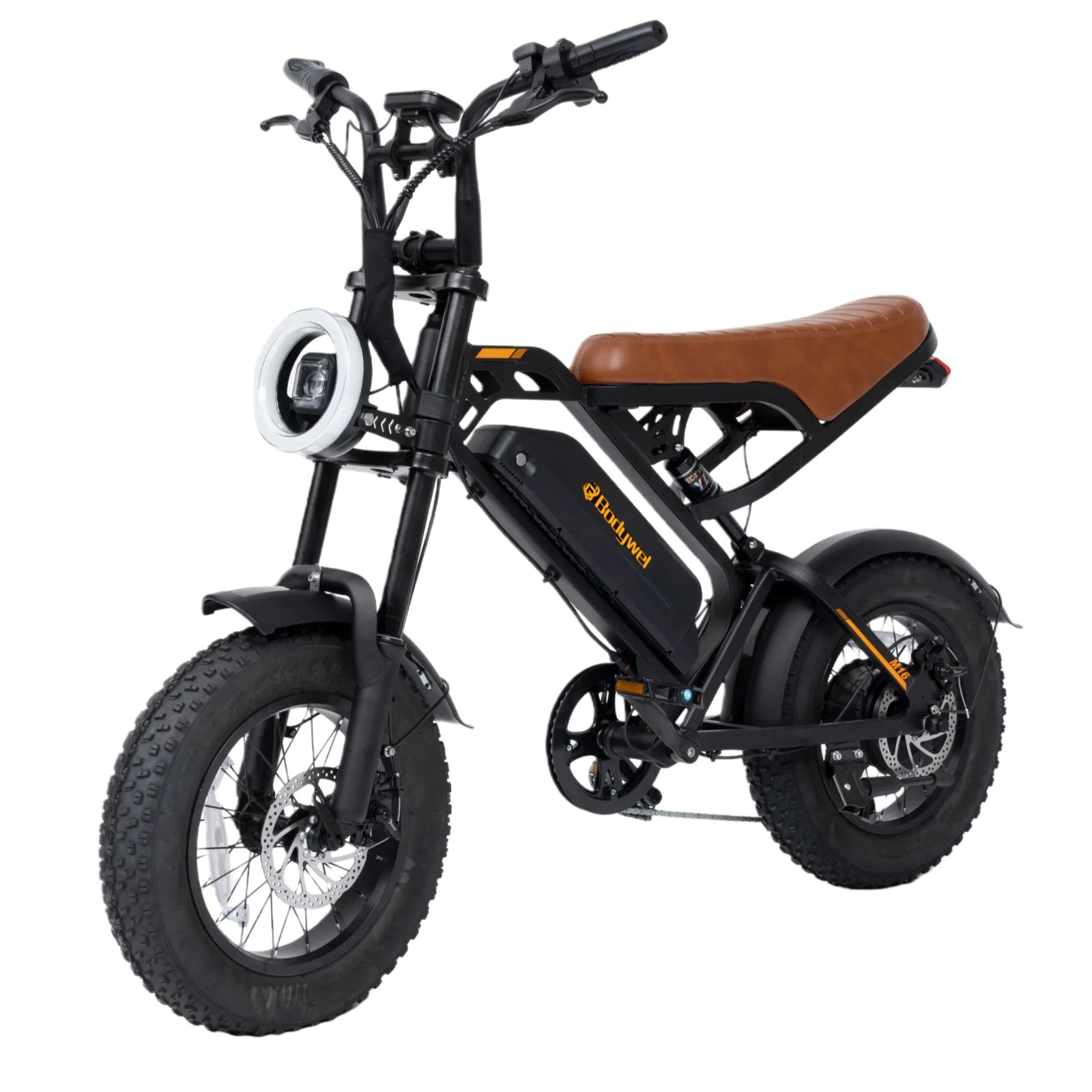 Fat Tire Electric Bike.