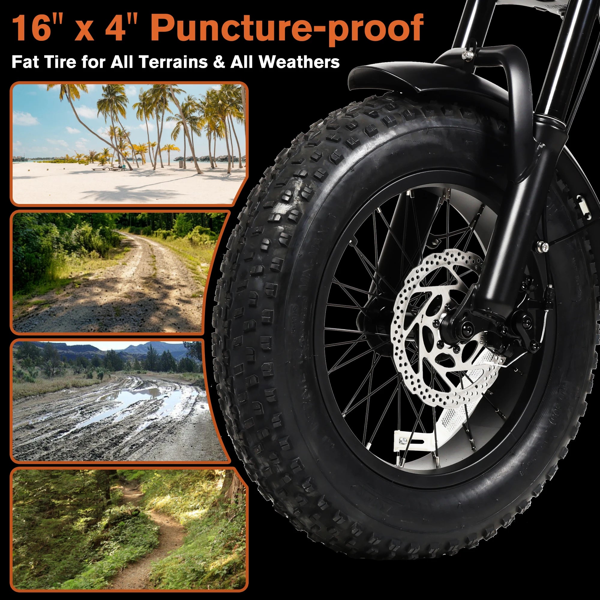 Fat Tire Electric Bike.