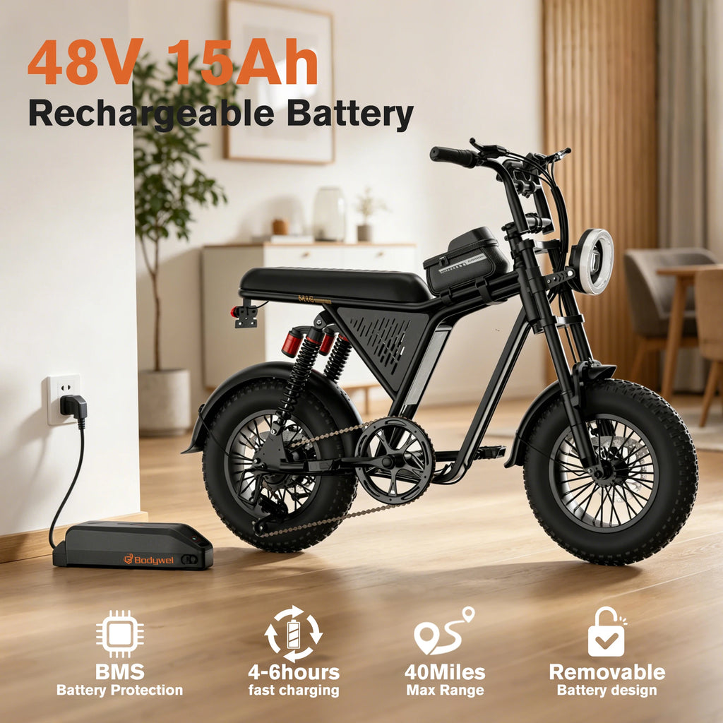 Fat Tire Electric Bike.