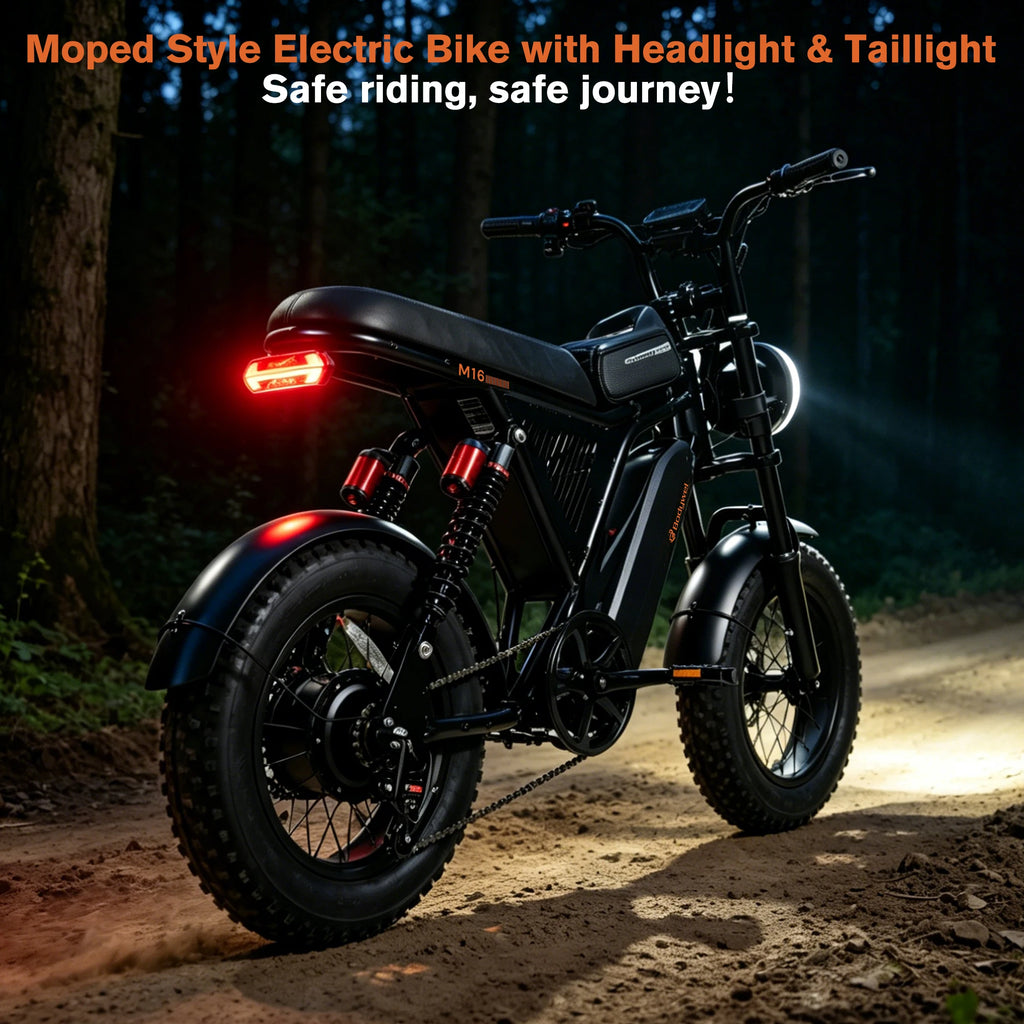 Fat Tire Electric Bike.