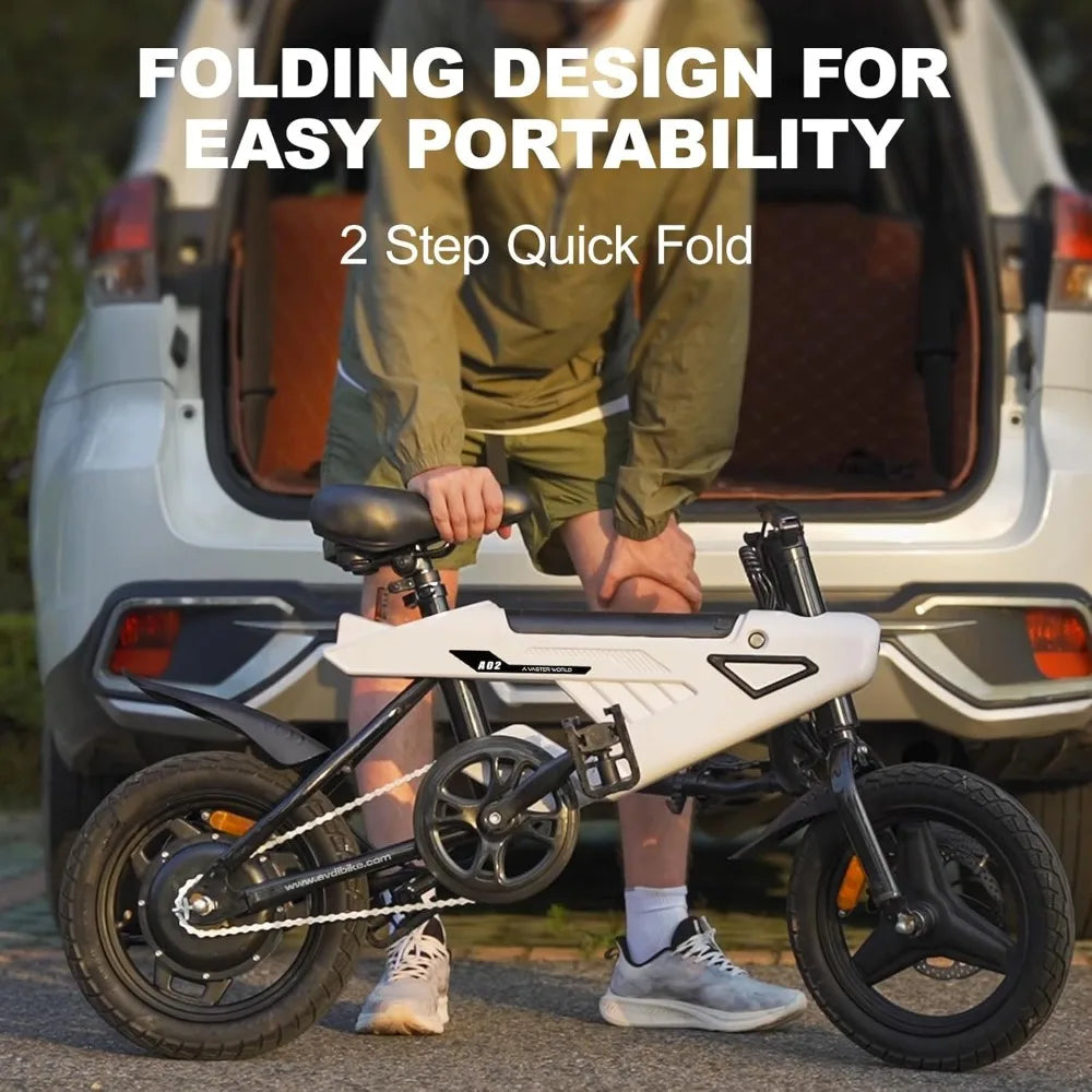 Folding Electric Bike